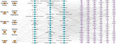 Pantao Pill Improves the Learning and Memory Abilities of APP/PS1 Mice by Multiple Mechanisms